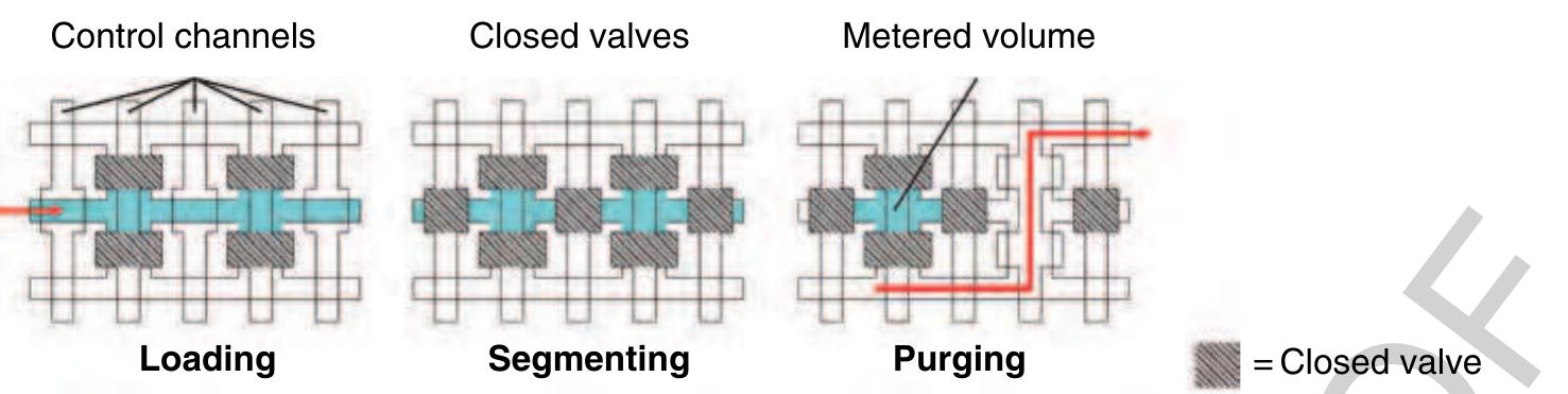 ) Figure 18 Using crossed fluid channels, liquid metering is also possible on the microfluidic large-scale integration (LSI) platform. In the first loading step, a certain fluid channel is addressed using the multiplexer structure and filled with liquid. Ir the second step, the liquid within that channel is segmented by closing the valves between the chambers. In the last step, fluic that should not be kept is purged via two additional fluid channels on both sides of the metering channel. 