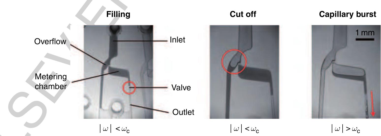 15 Figure 23 Metering structure based on a hydrophobic valve. In the initial filling stage, the fluid network is primed with an undefined sample volume. After the metering chamber is filled, the residual fluid is cut off at a frequency still beyond the critical burst frequency of the valve we. In the last step the frequency is increased over the burst frequency of the valve leading to a radial drainage of the metered volume through the structures outlet. (Source: Steigert J, Grumann M, Brenner T, Riegger L, Harter J, Zengerle R, Ducrée J 2006 Fully integrated whole blood testing by real-time absorption measurement on a centrifugal platform. Lab Chip 6, 1040-4. Reproduced by permission of The Royal Society of Chemistry.)  30260 2.13.5.2.3 Metering and aliquotting  