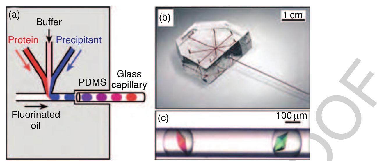 79 Figure 34 (a) Schematic illustration of the protein crystallization device and (b) the complete set-up consisting of a  polydimethylsiloxane (PDMS) chip and a glass capillary. (c) Examples of thaumatin crystals that were grown inside droplets in a capillary. (Source: Zheng B, Tice J D, Roach L S, Ismagilov R F 2004c A droplet-based, composite PDMS/glass capillary  microfluidic system for evaluating protein crystallization conditions by microbatch and vapor-diffusion methods with on-chip X-ray diffraction. Angew. Chem. Int. Ed. 43, 2508-11. Reproduced by permission of Wiley VCH.) 