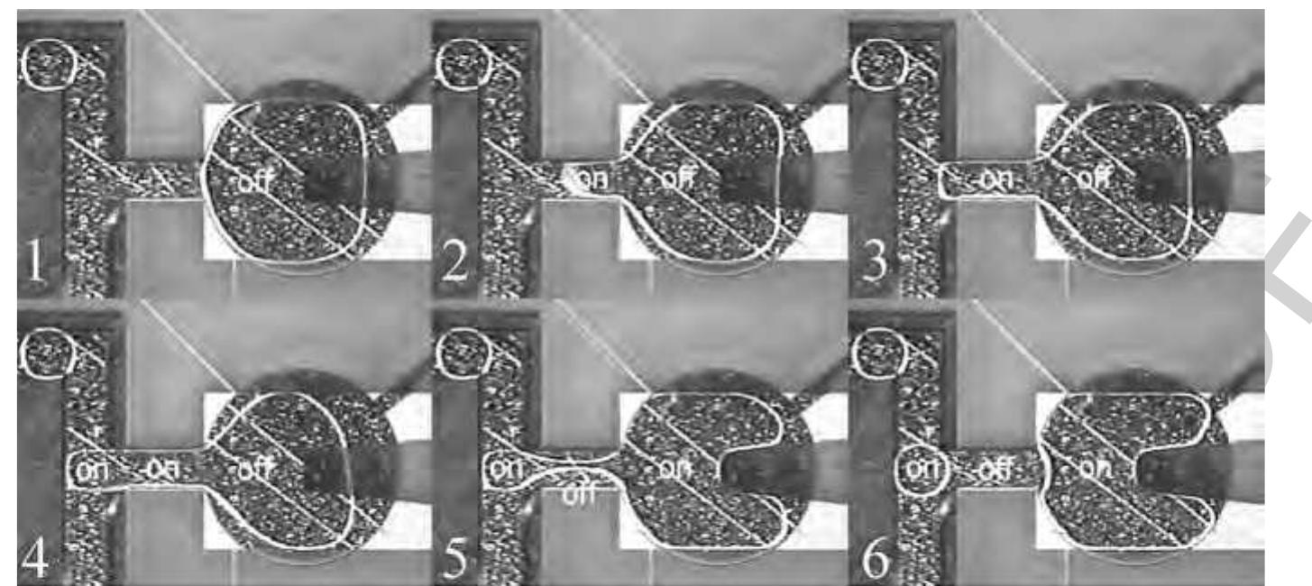 gq Figure 36 Droplet formation from an on-chip reservoir using electrowetting forces only. First, a liquid column is extruded from the reservoir and tears off after the connecting electrode is turned off. (Source: Srinivasan V, Pamula V K, Fair R B 200: An integrated digital microfluidic lab-on-a-chip for clinical diagnostics on human physiological fluids. Lab Chip 4, 310-15. Reproduced by permission of The Royal society of Chemistry.) 