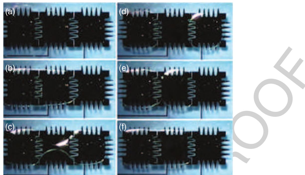 185 Figure37 Asequence of photographs showing the droplet splitting and merging. (a) Initially, only the left electrode is activated. (b) The middle electrode is then activated and, (c) and (d) after a delay, the voltage is switched from the middle to the right electrode resulting in division of the droplet. (e) and (f) The original droplet is reassembled by switching the voltage on the right electrode back to the middle electrode. (Source: Pollack M G, Shenderov A D, Fair R B 2002 Electrowetting-based actuation ot  droplets for integrated microfluidics. Lab Chip 2, 96-101. Reproduced by permission of The Royal Society of Chemistry.) 