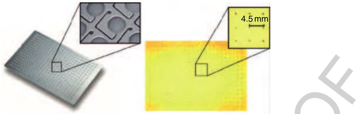 230 Figure 46 Picture of a 384 dispensing well plate (DWP) dispensing a chip micromachined in silicon. The 384 reservoirs are connected to 384 nozzle chambers next to the reservoirs via capillary channels. No format transformation (reformatting) but the metering and allocation of a defined liquid volume is accomplished within each of the 384 units. All these liquid portions are then transferred to another platform within the pneumatically driven noncontact dispensing process (Figure 42) or to a flat surface as depicted on the right. 