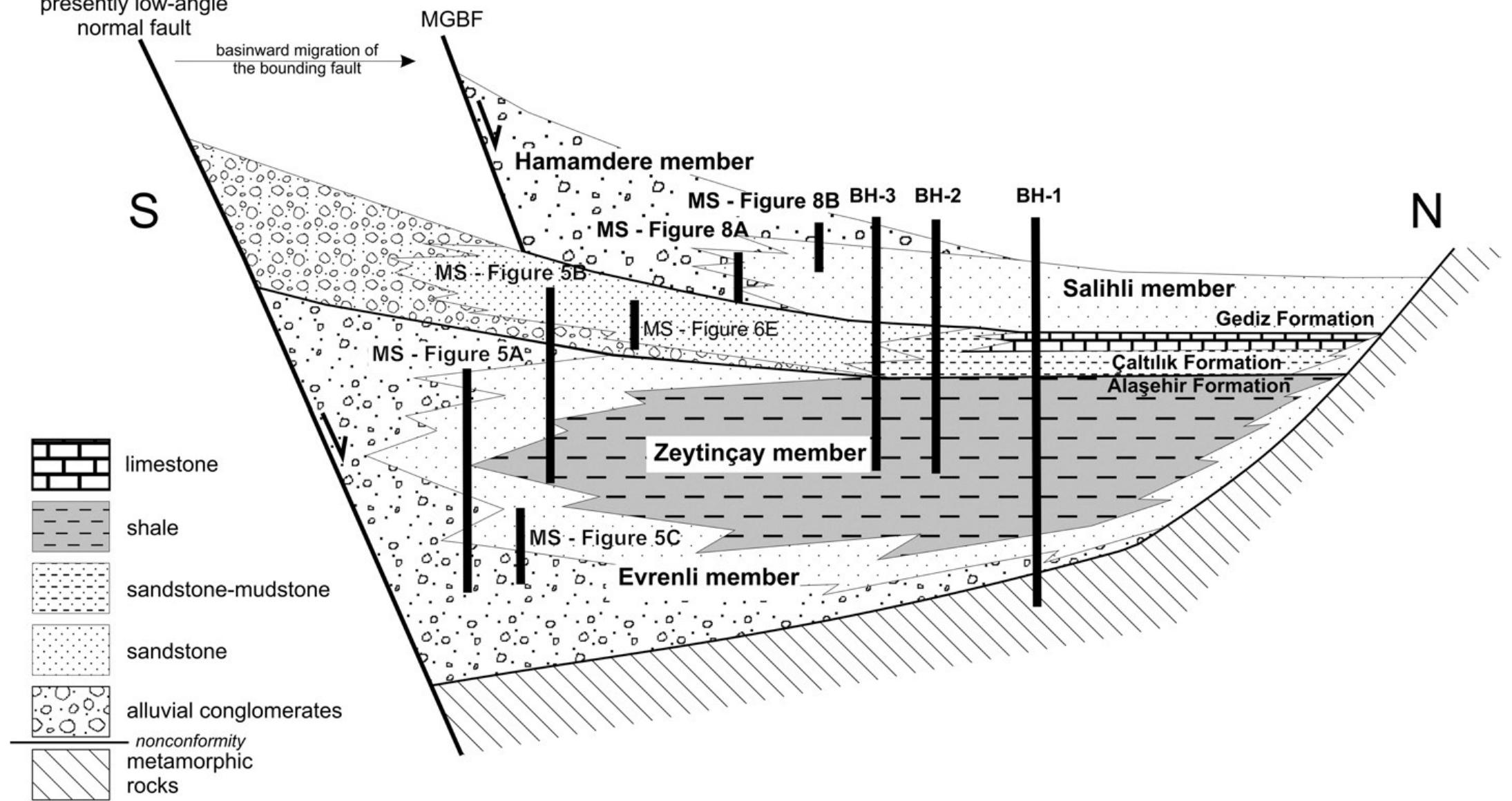 Schematic cross-section illustrating the facies and
