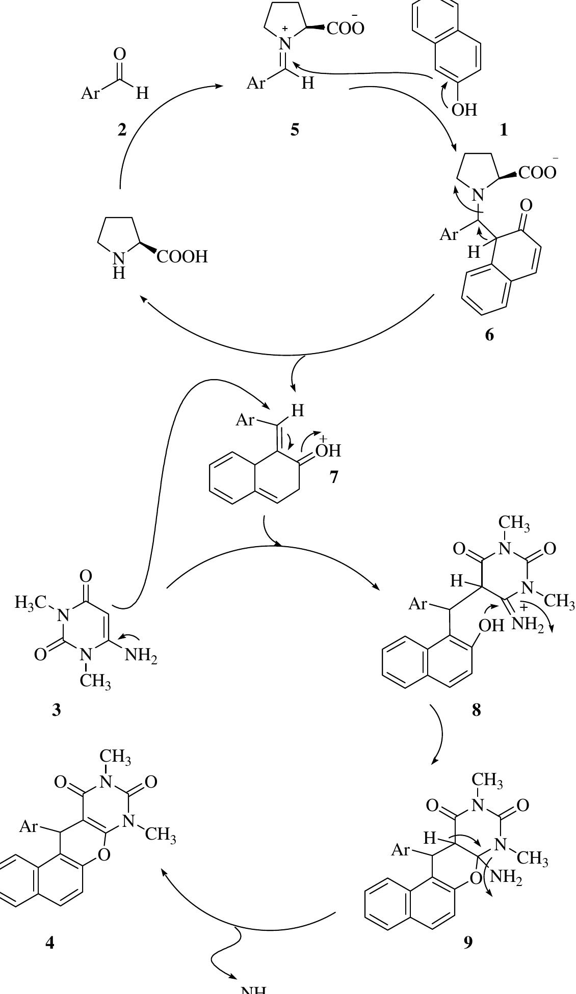 A plausible mechanism for the synthesis of