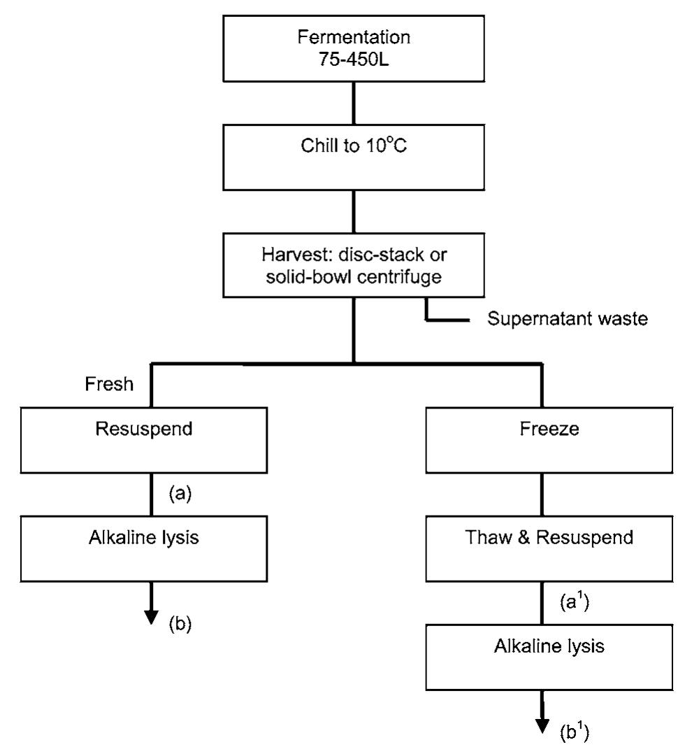 | process flowsheet options for biomass recovery and