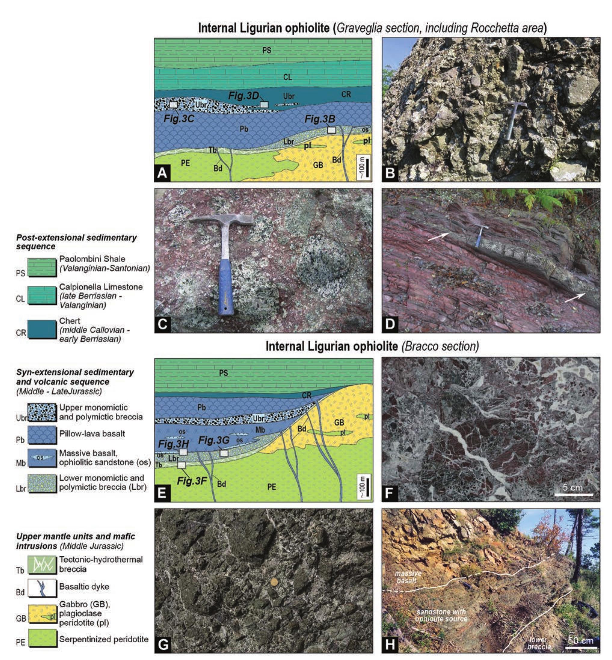 Figure 3 - Comparative Analysis of the Sedimentary Cover