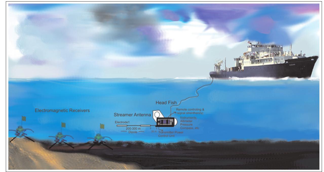 1: schematic diagram showing the field layout for mcsem