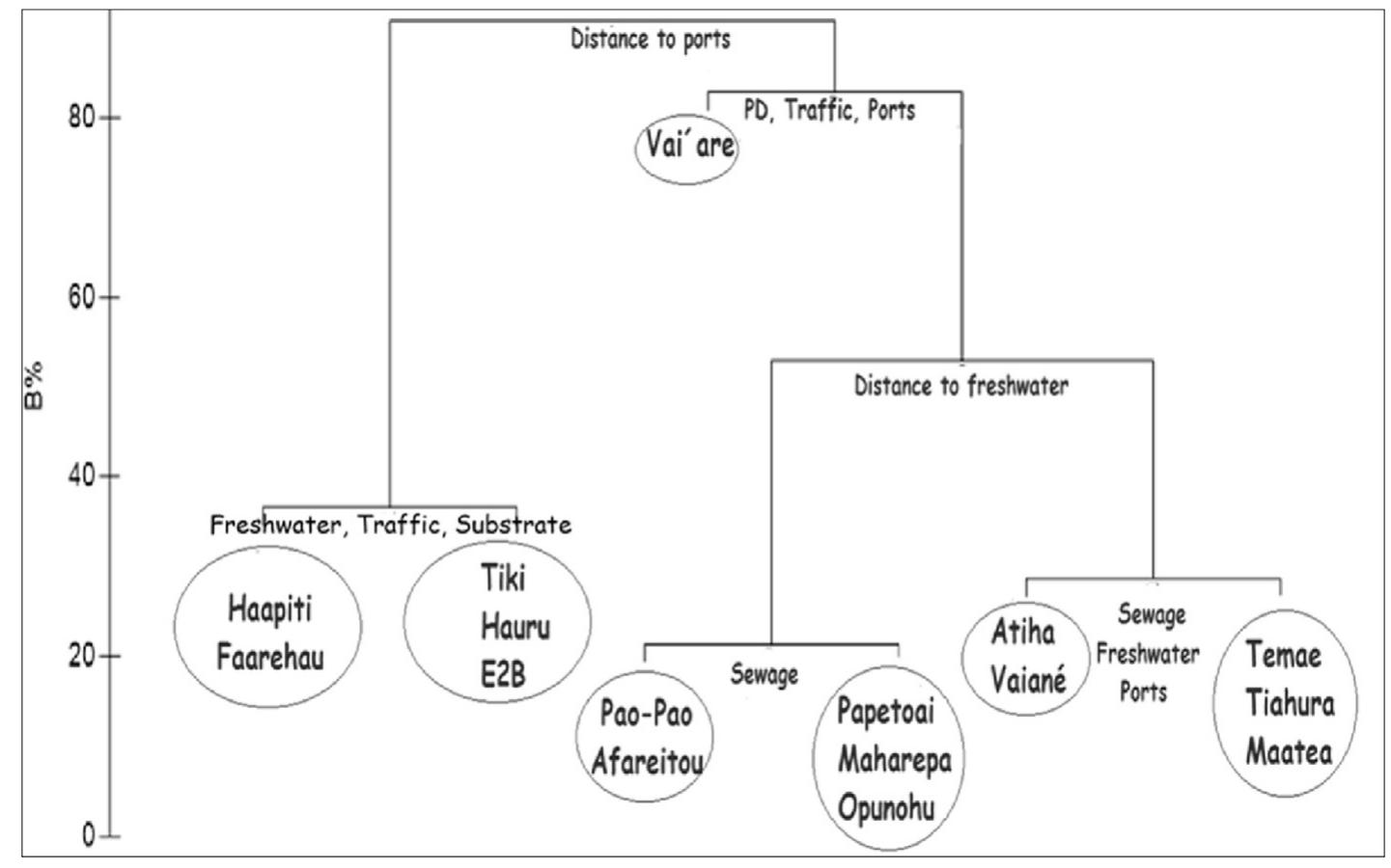 Linktree constructed from the main characteristics of the