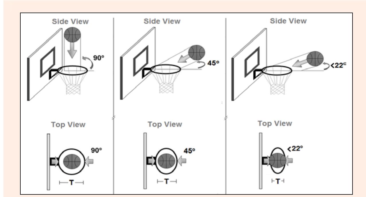 Schematic representation of the biomechanical model and