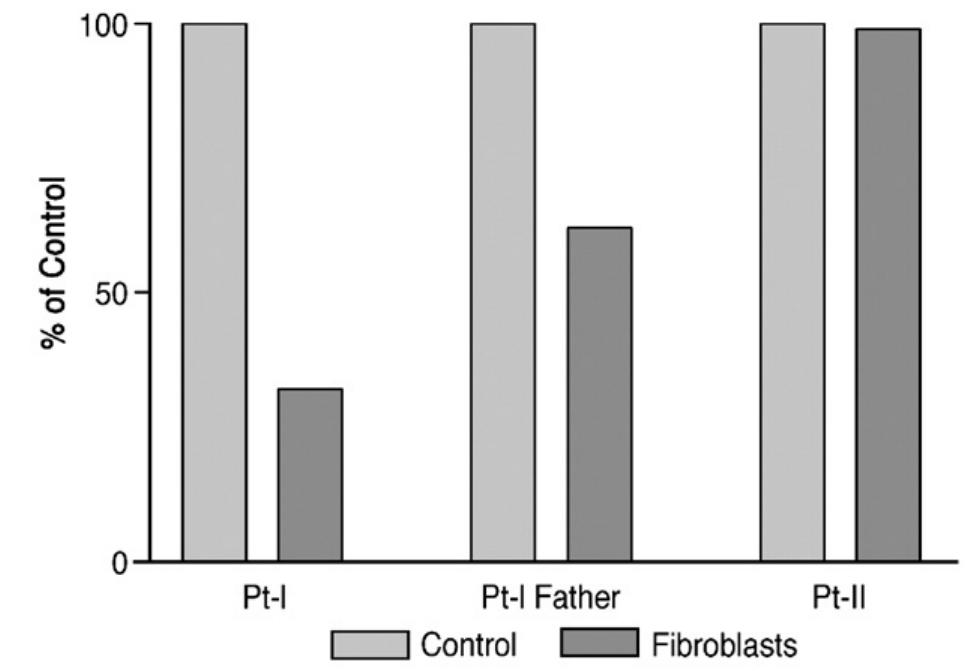 Western blotting of arh protein in cultured fibroblasts and