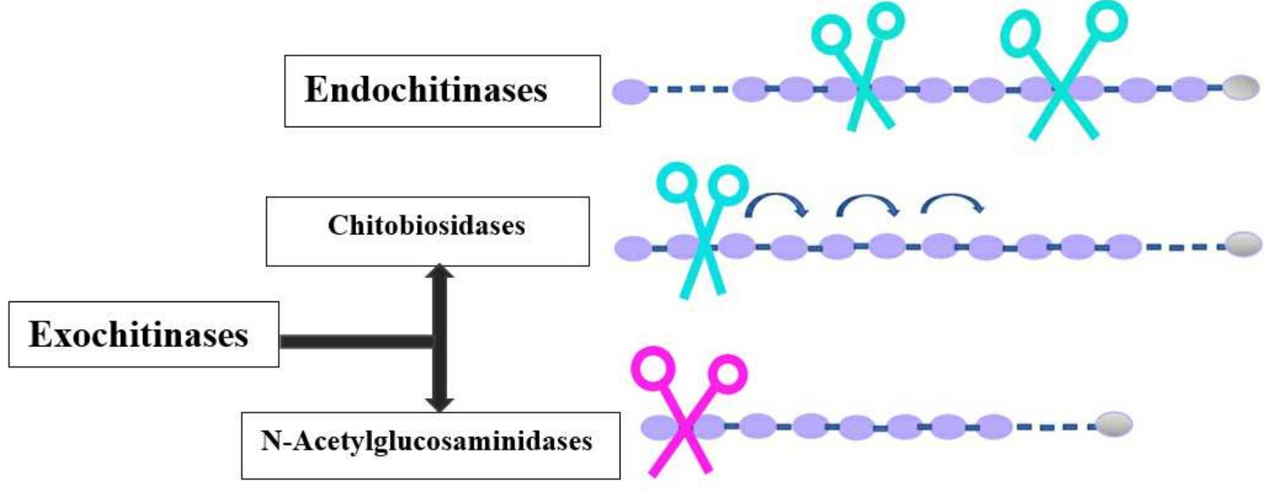Figure 1 - from Distribution and Biotechnological
