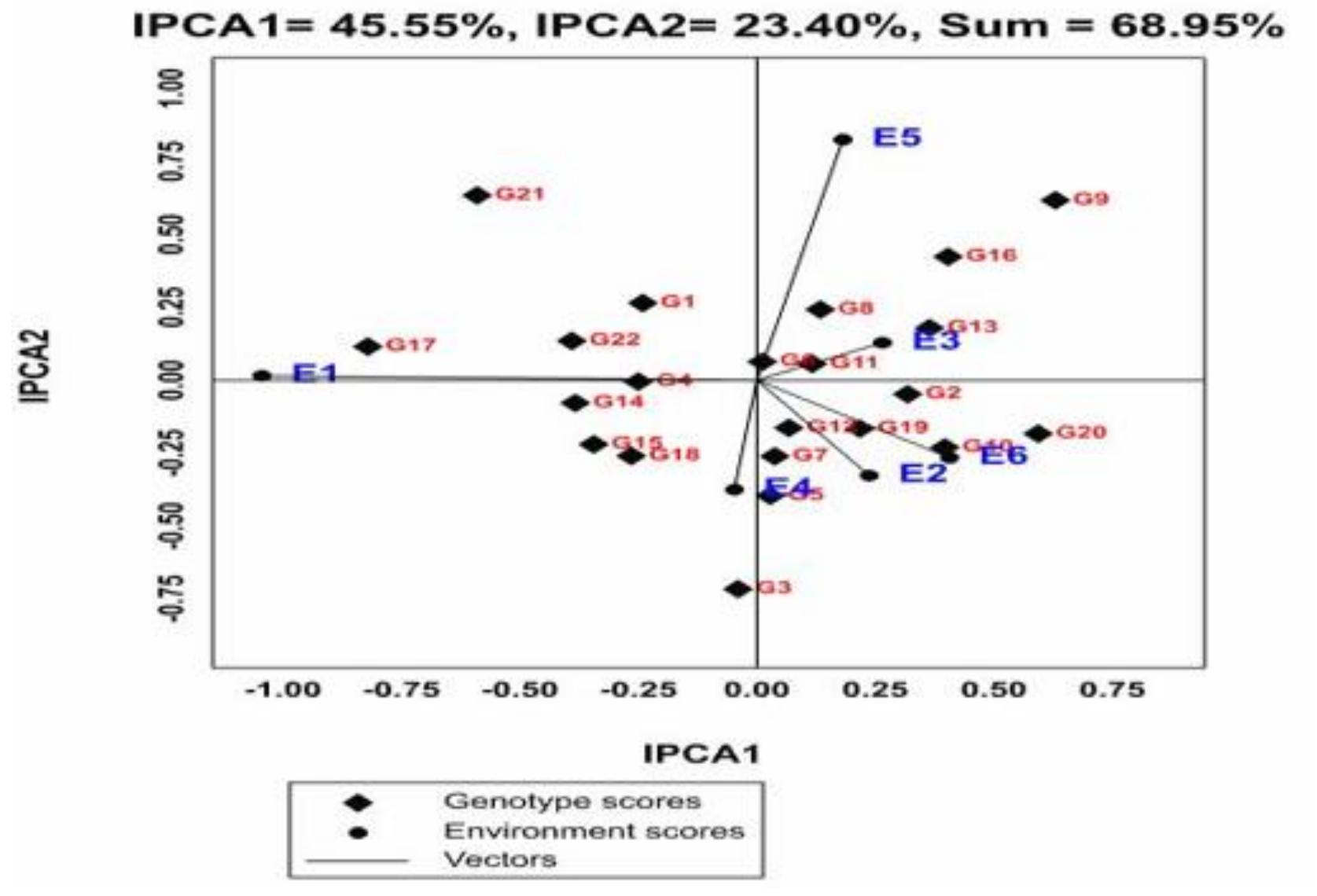 (PDF) AMMI and GGE biplot analysis of grain yield of bread wheat ...