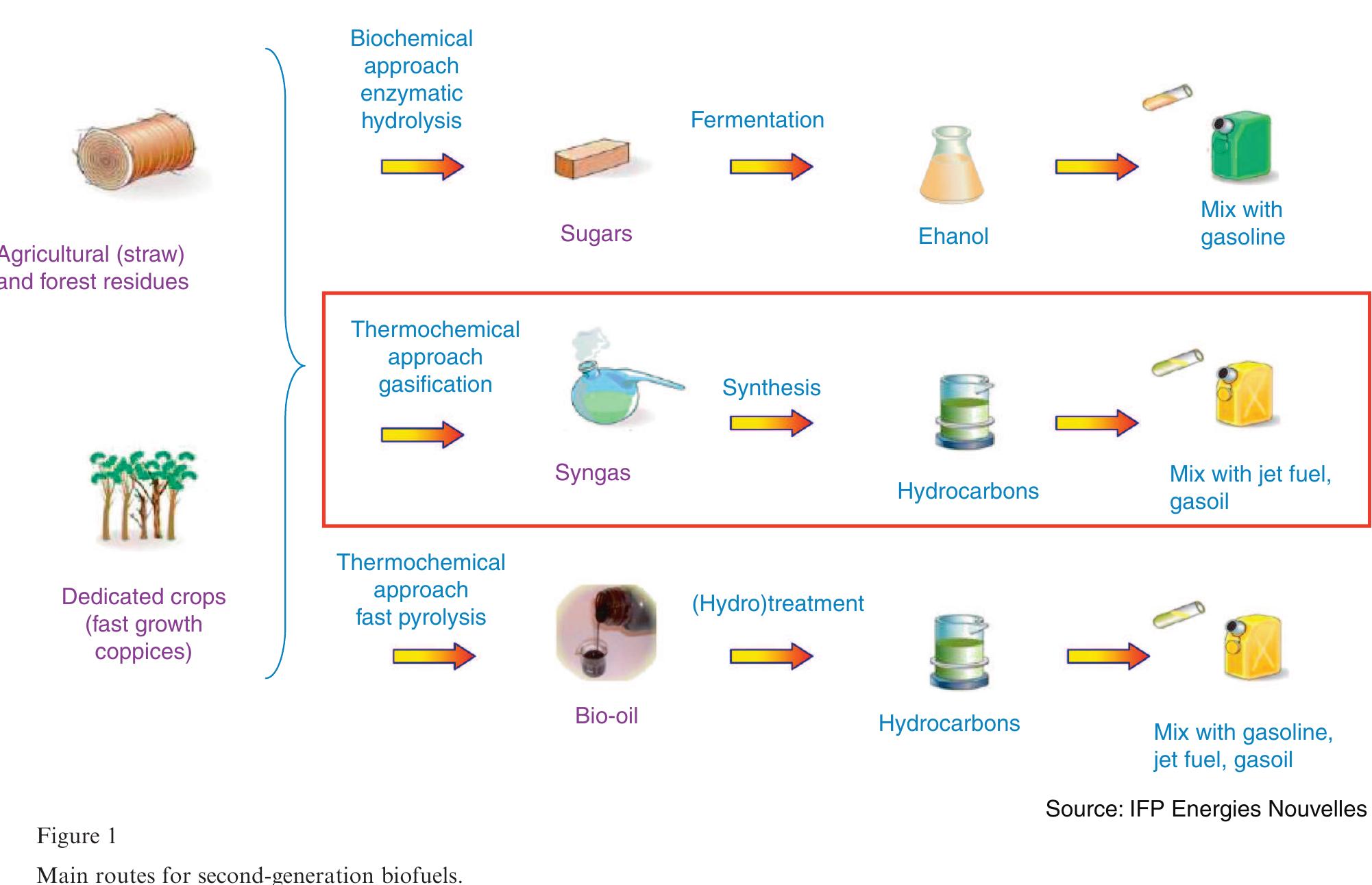 (PDF) BioTfueL Project: Targeting the Development of Second-Generation ...