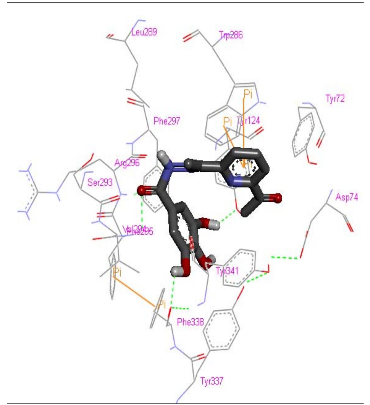 (b) 2d schematic representation of the hydrogen bonding and