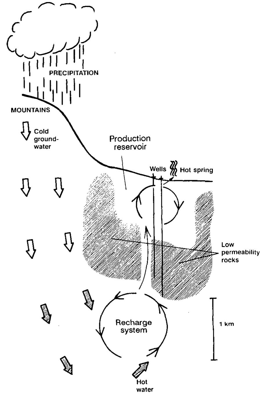 Simplified sketch of the conceptual model of the botn