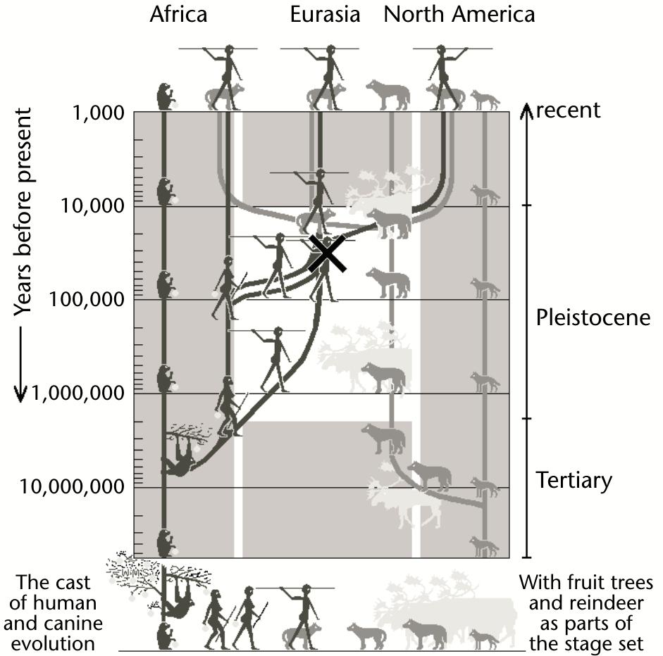 First Canids Figure 2 - from Co-evolution of Humans and Canids An