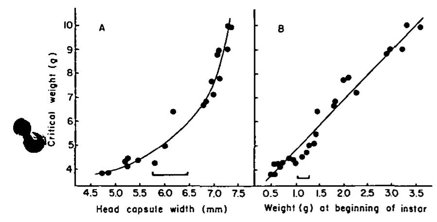 (PDF) Physiological control of molting in insects