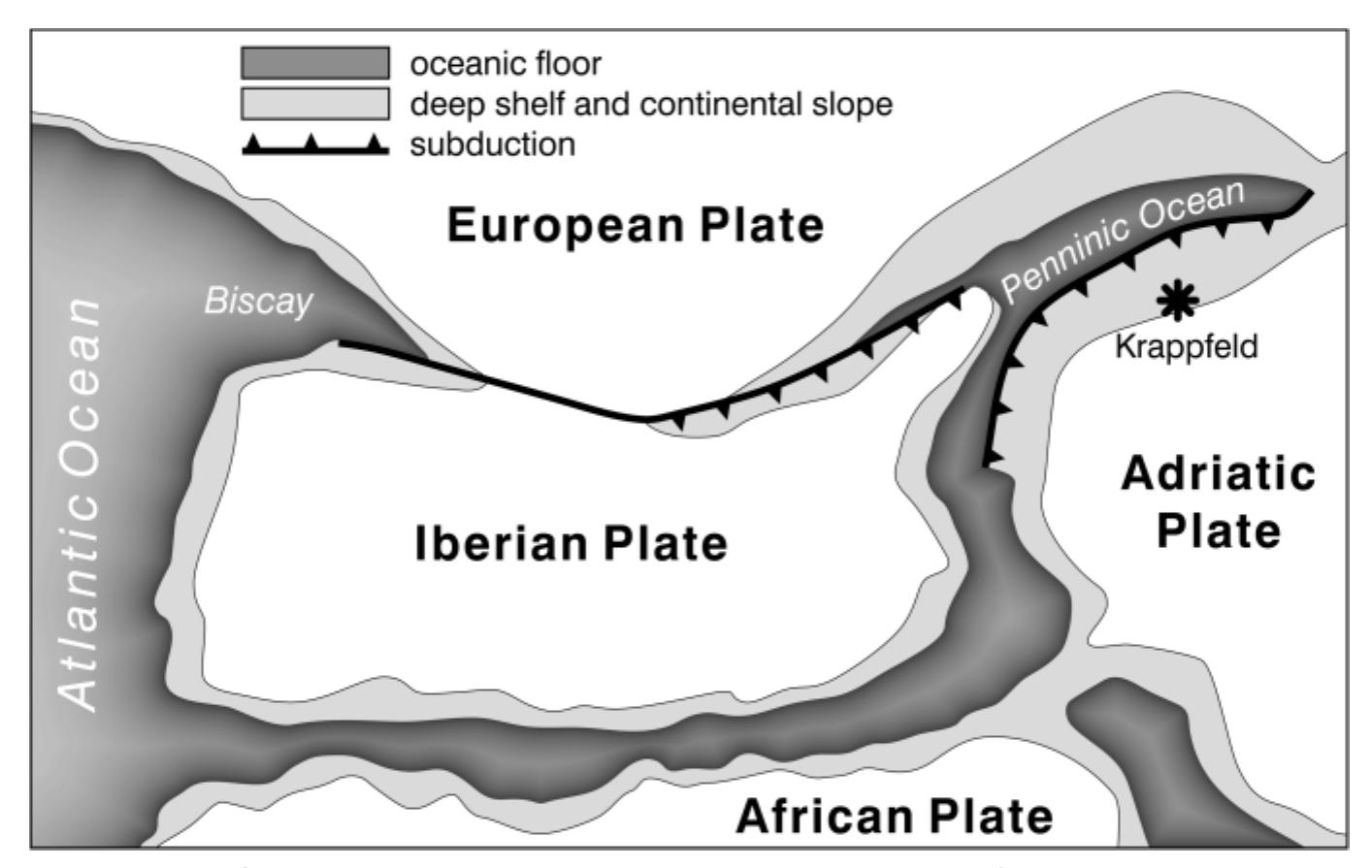 Schematic paleogeographic map showing the position of the