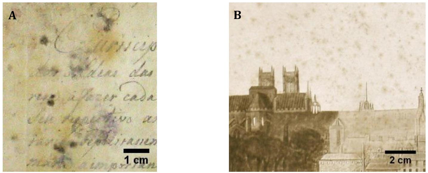 Figure 16 - from Fungal biodeterioration of paper:
