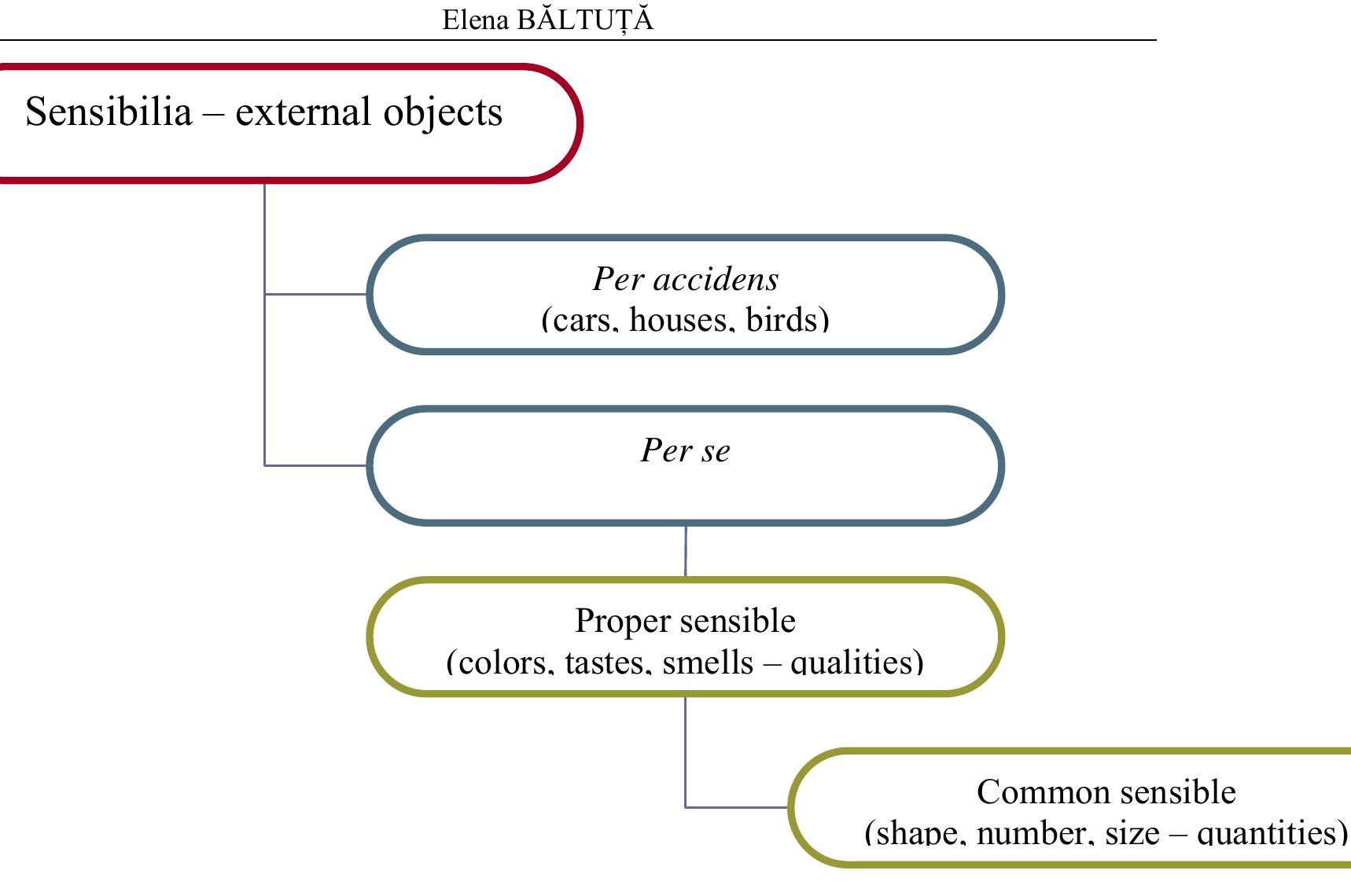 Figure 1 - from Thomas Aquinas’s Theory of Knowledge. The