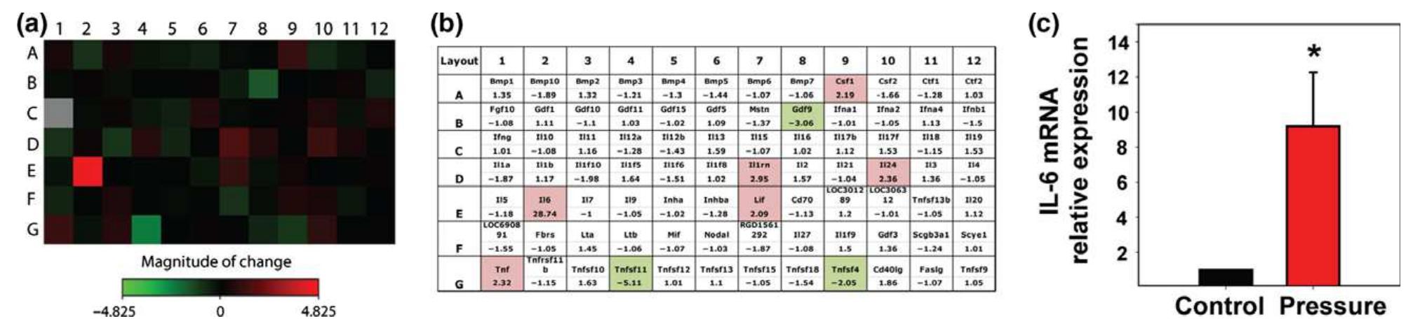 (b) layout of 84 genes shown in heat map and fold changes