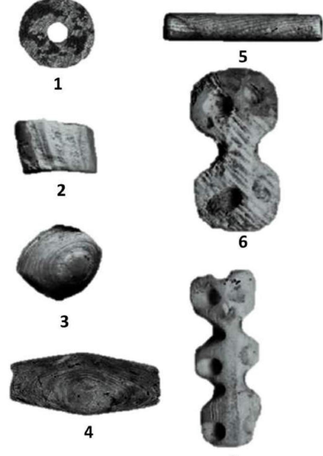 Fig. 4. Spondylus bead typology in Romania according to current date literature: 1. Discoidal (Margarit and Toderas 2019); 2. Cylindrical (Kogalniceanu 2012a); 3. Biconvex (Margarit and Vintila 2015); 4. Bearel- shaped (Luca and Papureanu 2018; the bead described in this paper); 5. Tubular (Margarit and Vintila 2015) 6. Bilobed (Margarit 2012); 7. Trilobed (Margarit 2012). 