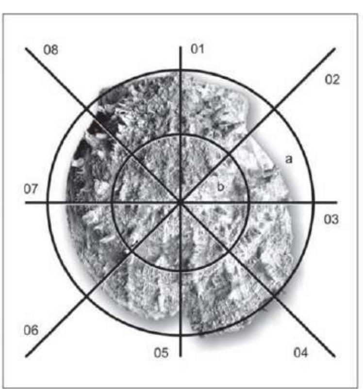 Fig. 7. c. Polar system for Spondylus according to Veropoulidou (2011, 197). 