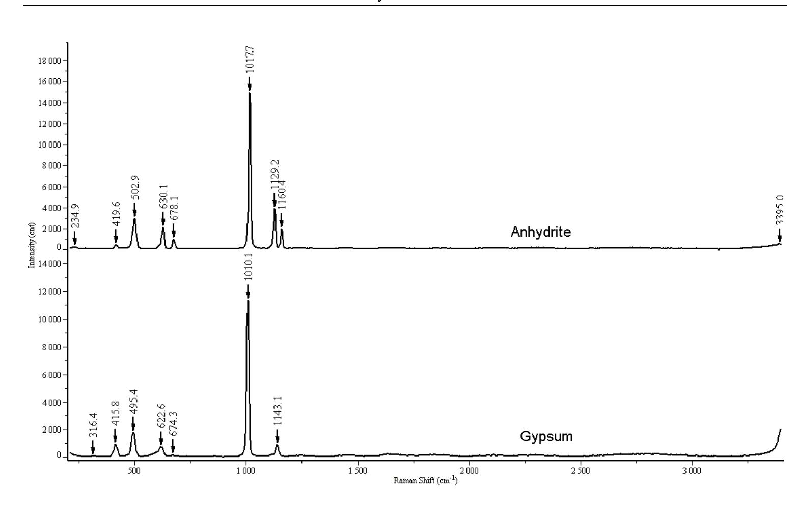 Raman spectra of gypsum and anhydrite