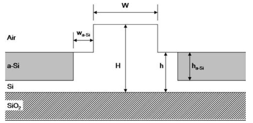 Schematic representation of the cross-section of a silicon