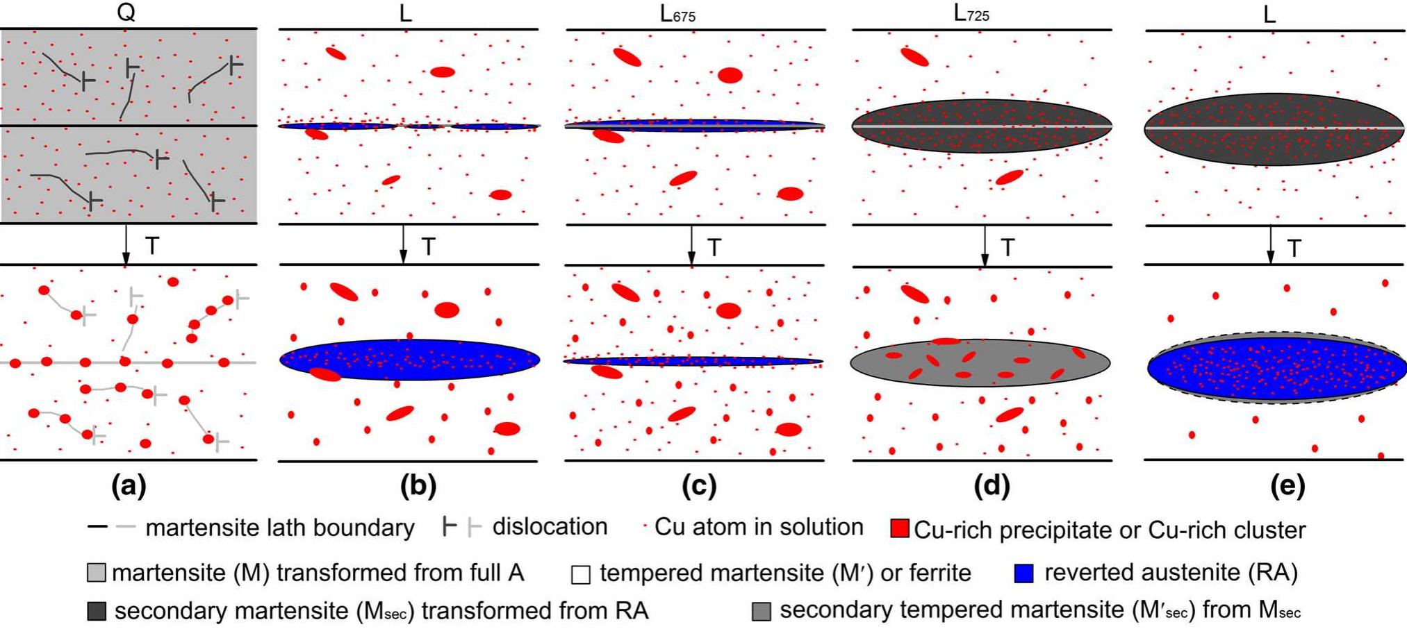 Microstructural Evolution —schematic diagrams illustrating microstructural evolution