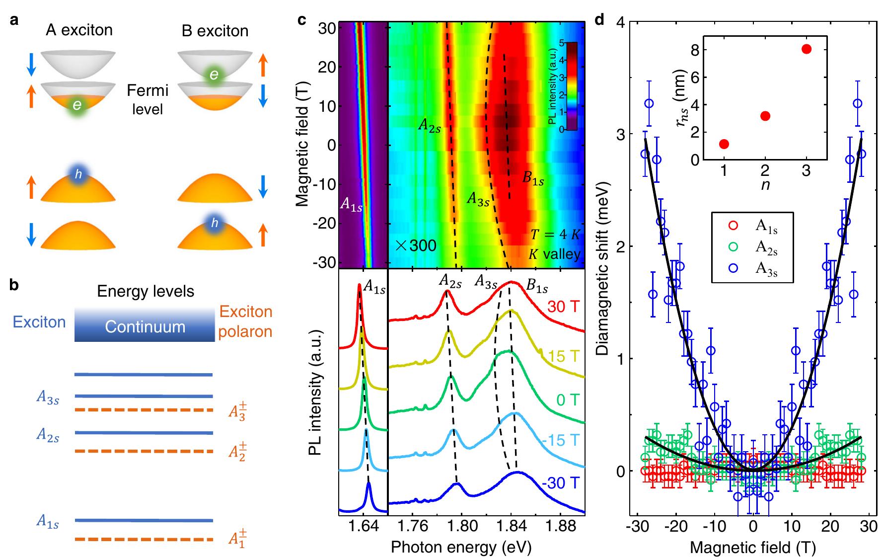 Figure 2 - from Exciton-polaron Rydberg states in monolayer