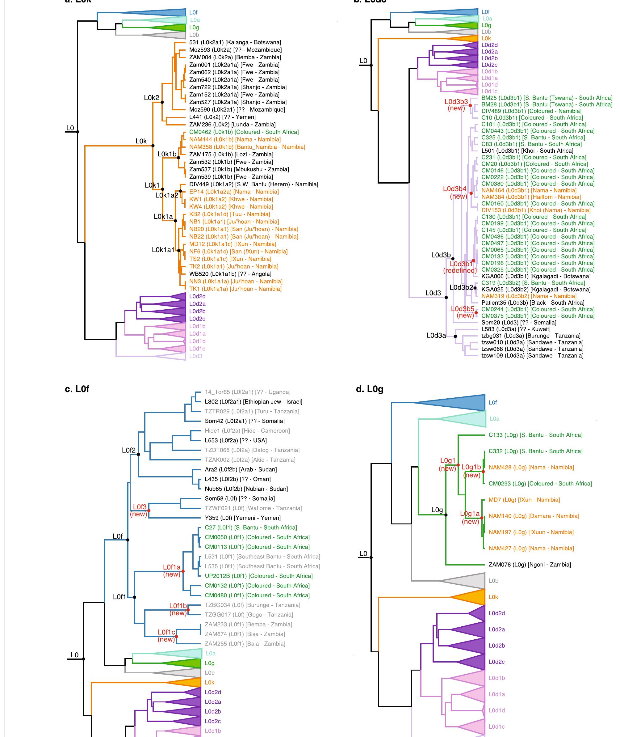 Andlog (PDF) Human origins in a southern African palaeo-wetland and first ...