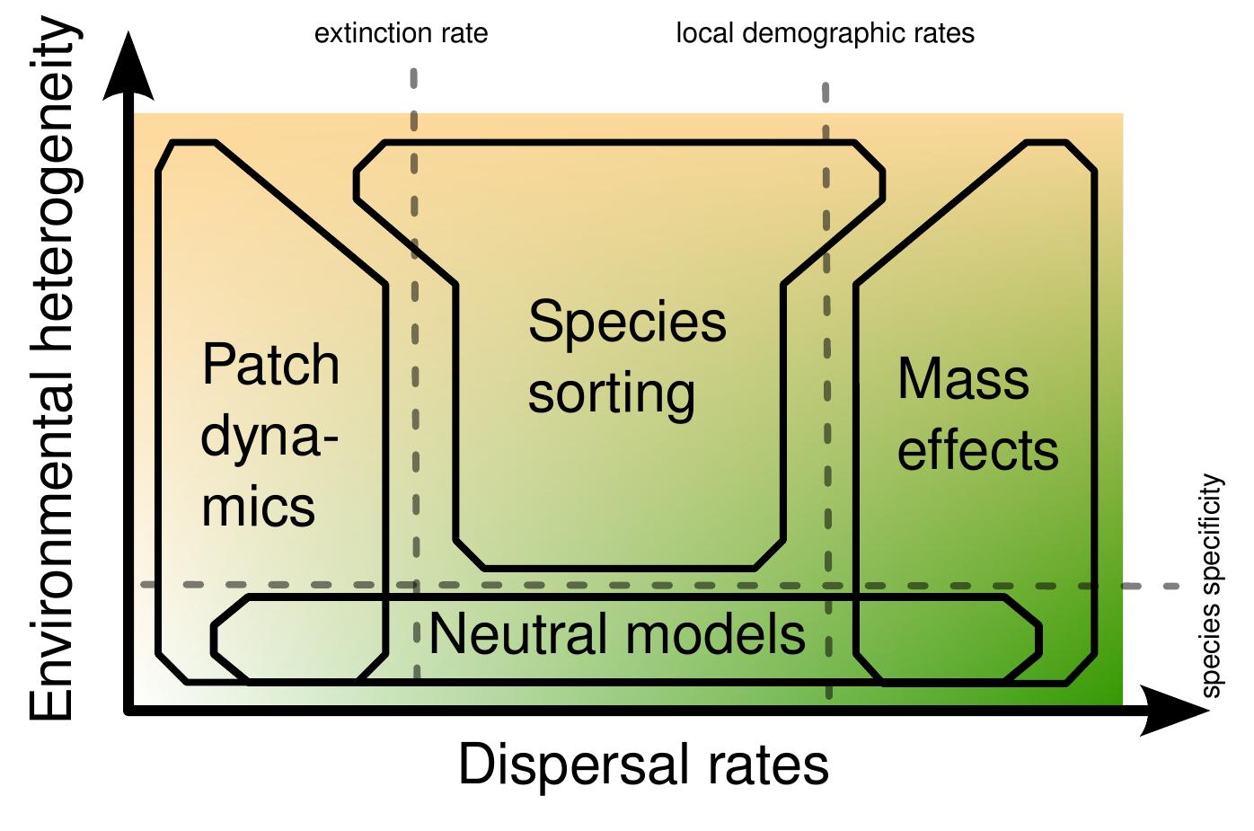 Schematic representation of the four metacommunity concepts.