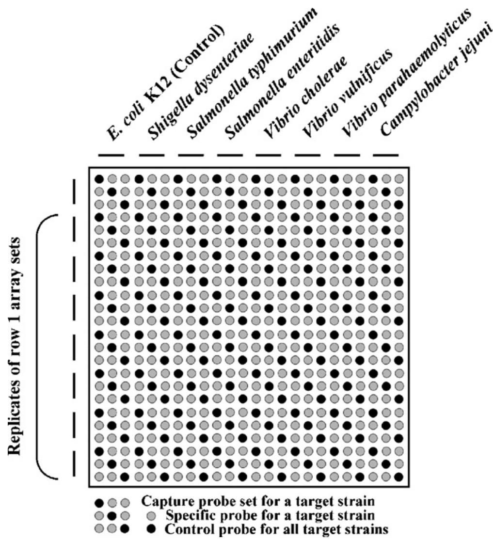 Schematic diagram of repeated array formats. the layout for