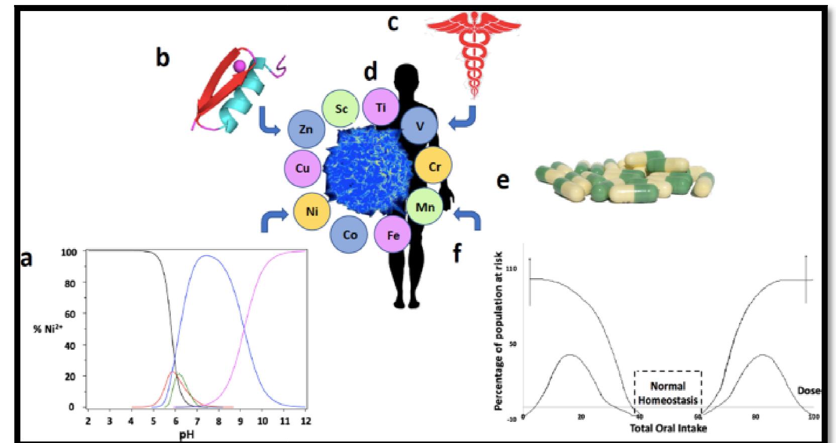 Microelement Human Figure 5 - from Importance of Some Transition Metals and