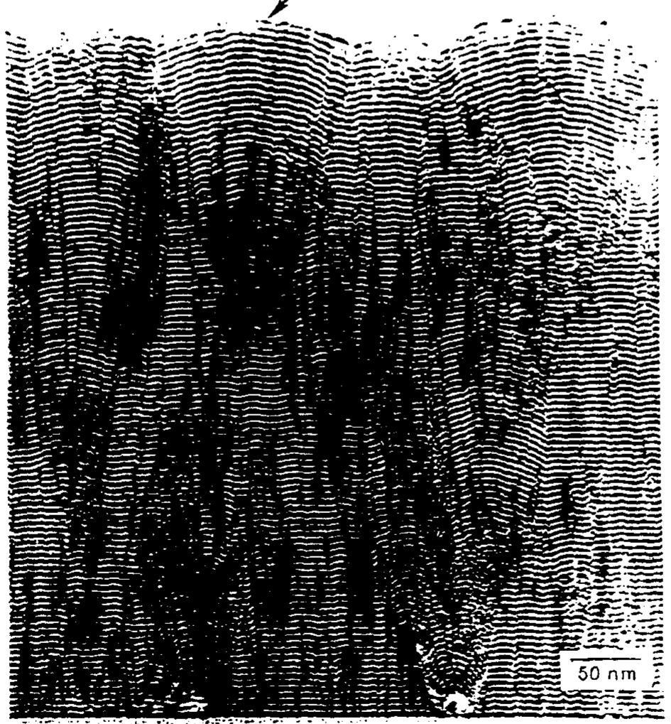 Micrograph Caption Examples Figure 11 - from Experimental observations of self-affine