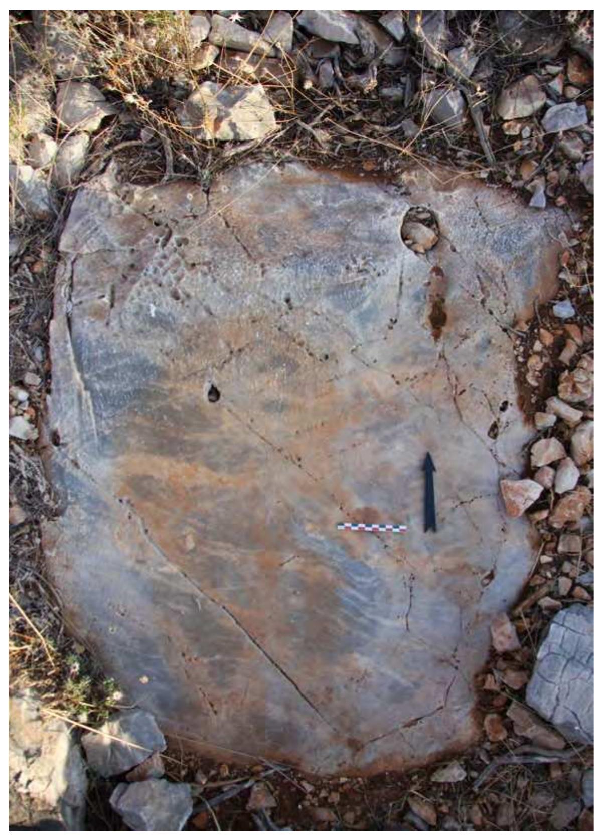part of the daily life of its ancient inhabitants, and was also significant to the overall economy of the area.  located within the administrative boundaries of the modern municipal unit of Vouliagmeni. This low moun tain range, suitable for grazing sheep and goats, may have functioned as a natural observatory, as it offered « panoramic view of the sea routes from Sounion to Piraeus, Aegina, Salamis, and the opposite coast of the Pelo ponnese, from its slopes and peaks. The rocky terrain has also produced horoi (6po1),”" which to some exten clarify the administrative boundaries between the ancient deme of Aixonides Halai and Anagyrous.” It is thu: established that the semi-mountainous land of the ancient deme -the stony ground (géAAev¢)*— was an integra part of the daily life of its ancient inhabitants, and was also significant to the overall economy of the area.  Fig. 2. The rock engraving with the depiction of god Pan and the warrior-hoplite. 