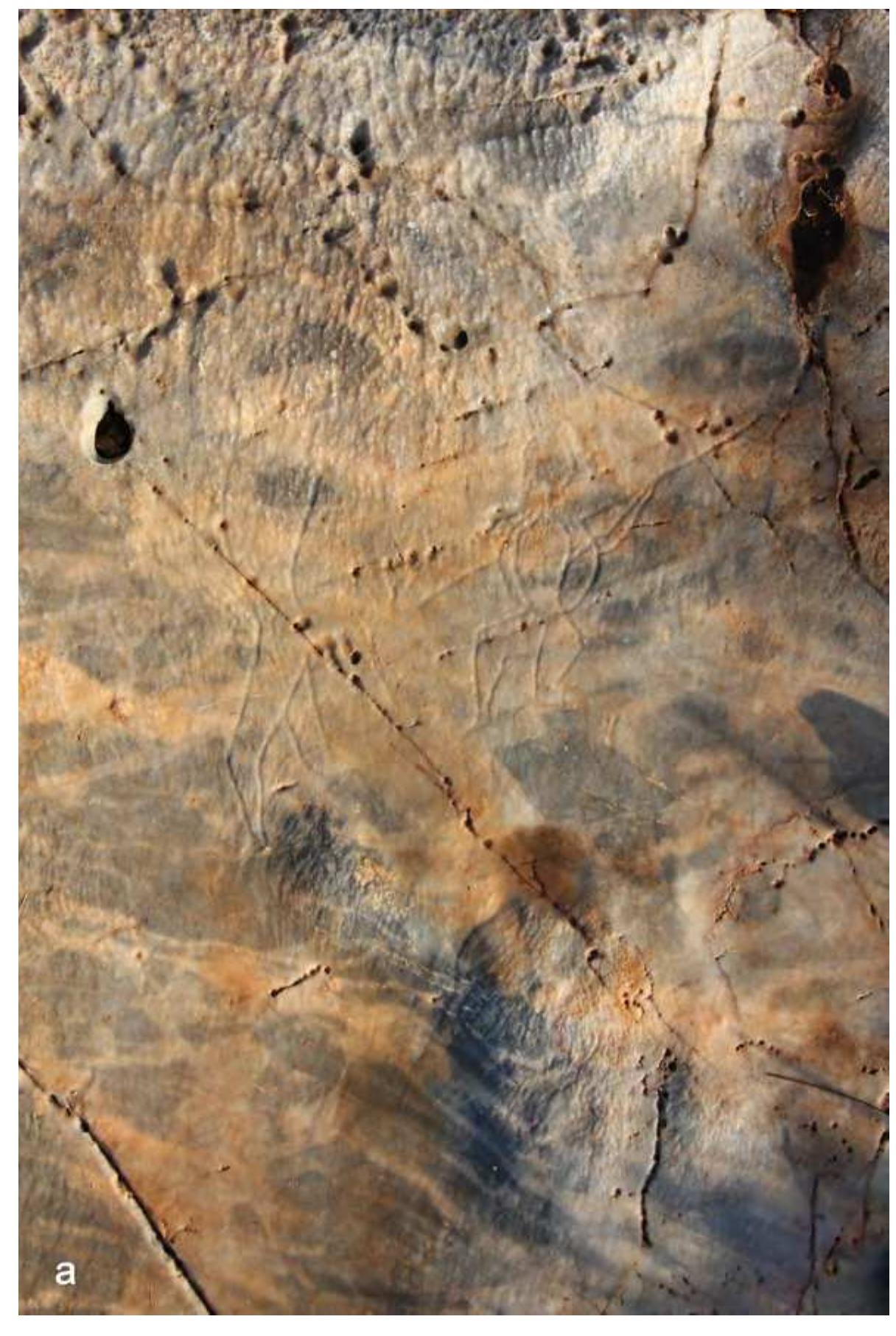 Fig. 3a. Detail of the rock engraving.  The leading figure is identified with a deity, due to its larger dimensions, its position in space and its physio- gnomic features (Fig. 3a). More specifically, the figure can be identified with the god Pan” as the tragomorphic (goat-like) features -specific to this divine being- are clearly discernible in the representation. The deity is rendered in cross-section and the tragomorphic features can be seen, especially on the head (Fig. 3b). To be more precise, these features are upright horns, a flattened snout nose and a beard with a sharp end. The details of the remaining facial features are unclear. The body of the deity is rendered more clearly: it is well-crafted, has symmetrical proportions, and follows basic human anatomy. The deity holds a Jagobolon* (a stick used for hare hunting) with his raised and curved left hand, while the right hand is not shown at all. Pan moves with his left 