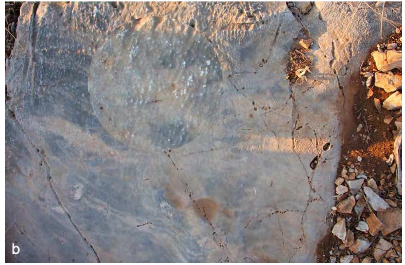 Fig. 3b. The head of the god Pan in magnification. 