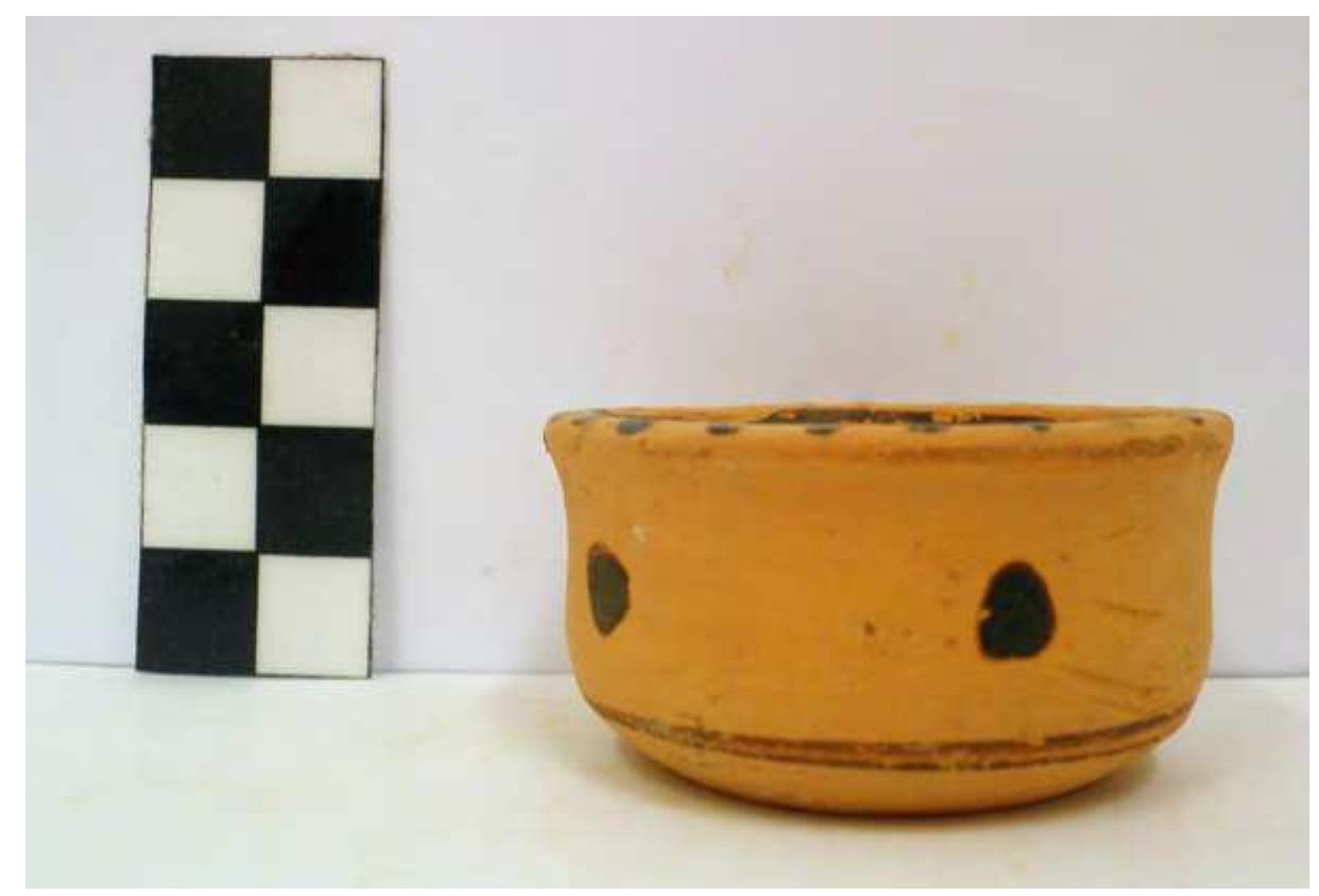 Fig. 51. Corinthian type skyphos from Grave 5. Photo P. Galiatsatou. 