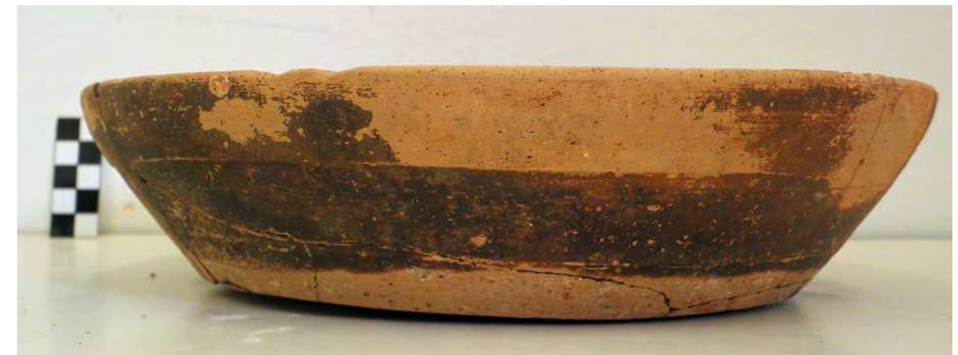Fig. 68. Black-glazed plate from Grave 16. Photo P. Galiatsatou. 