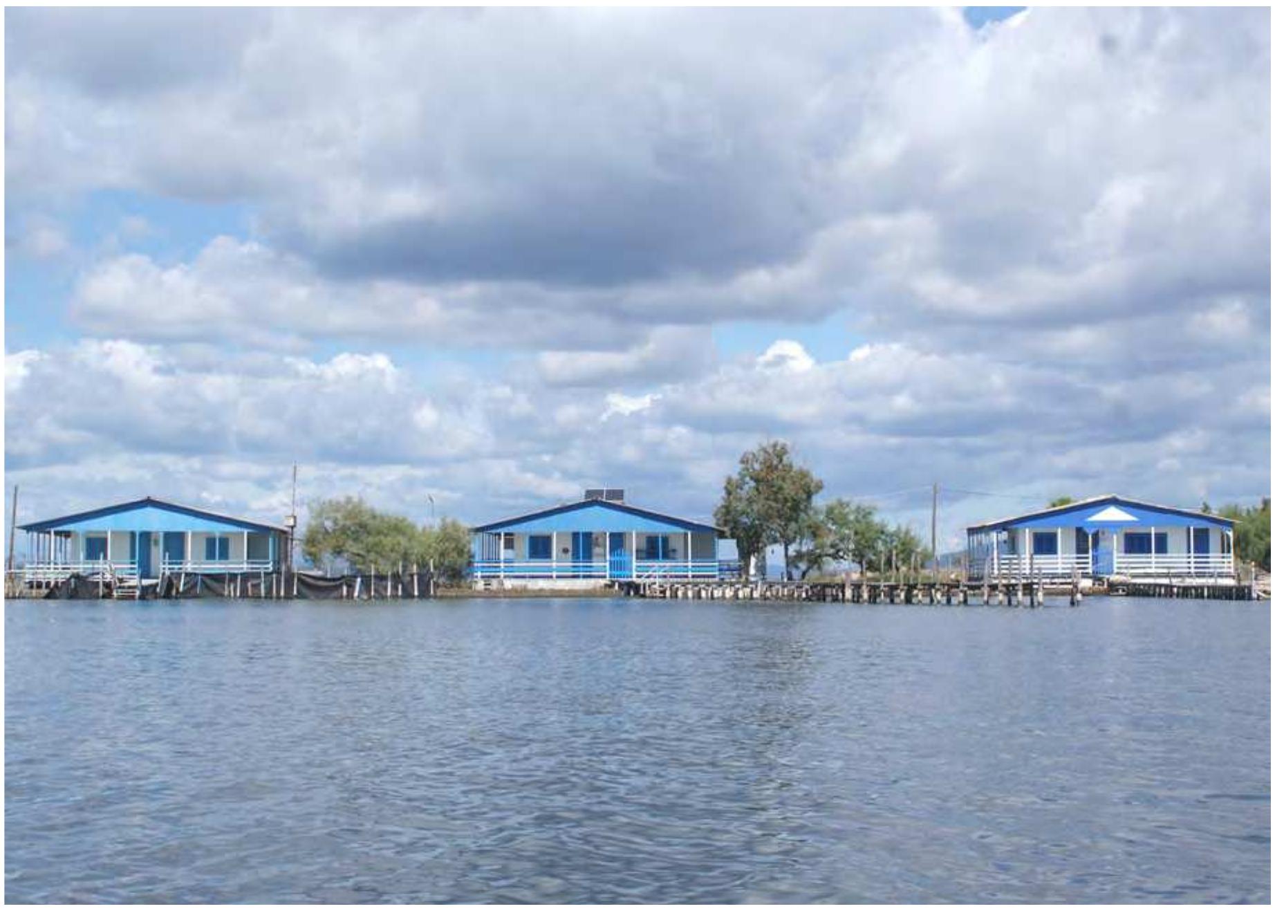 Ex. 8. Lbyxpovec meAades oT AttvoOdAacoa Meoohoyyiov. 