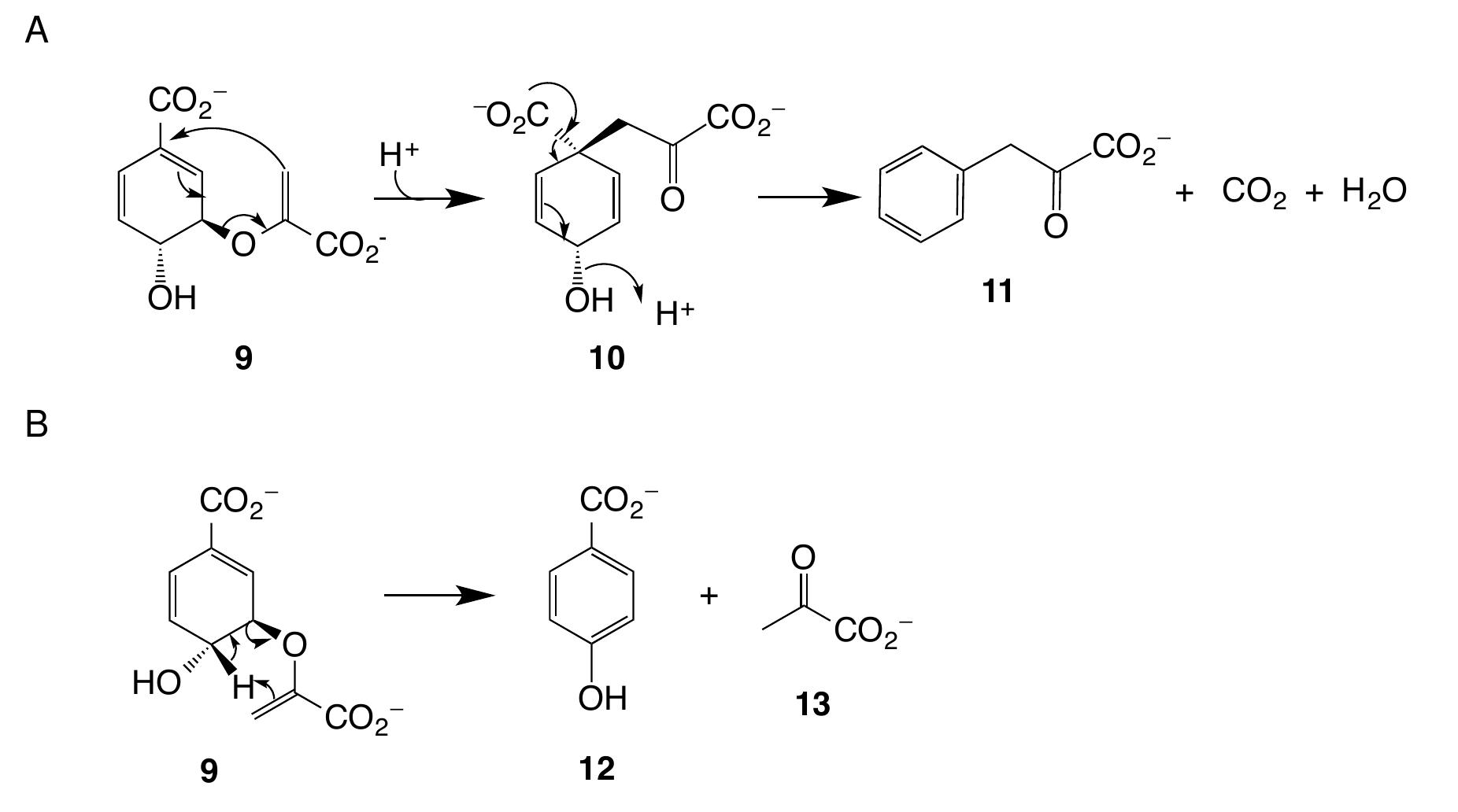 Toliq qinning porno videosi