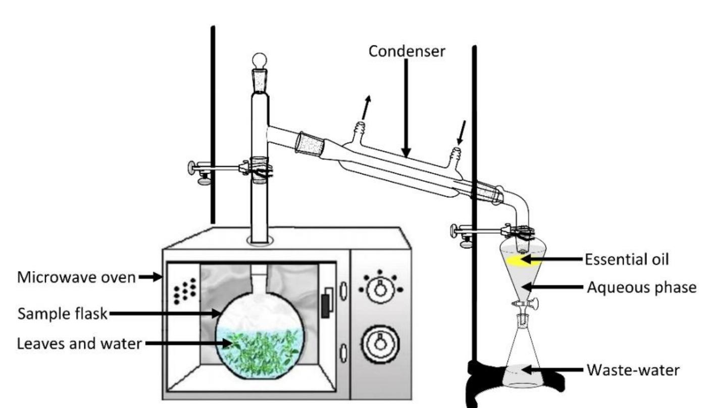 Micronics Extraction J. mater. environ. sci. 7 (6) (2016) 1958-1971 issn