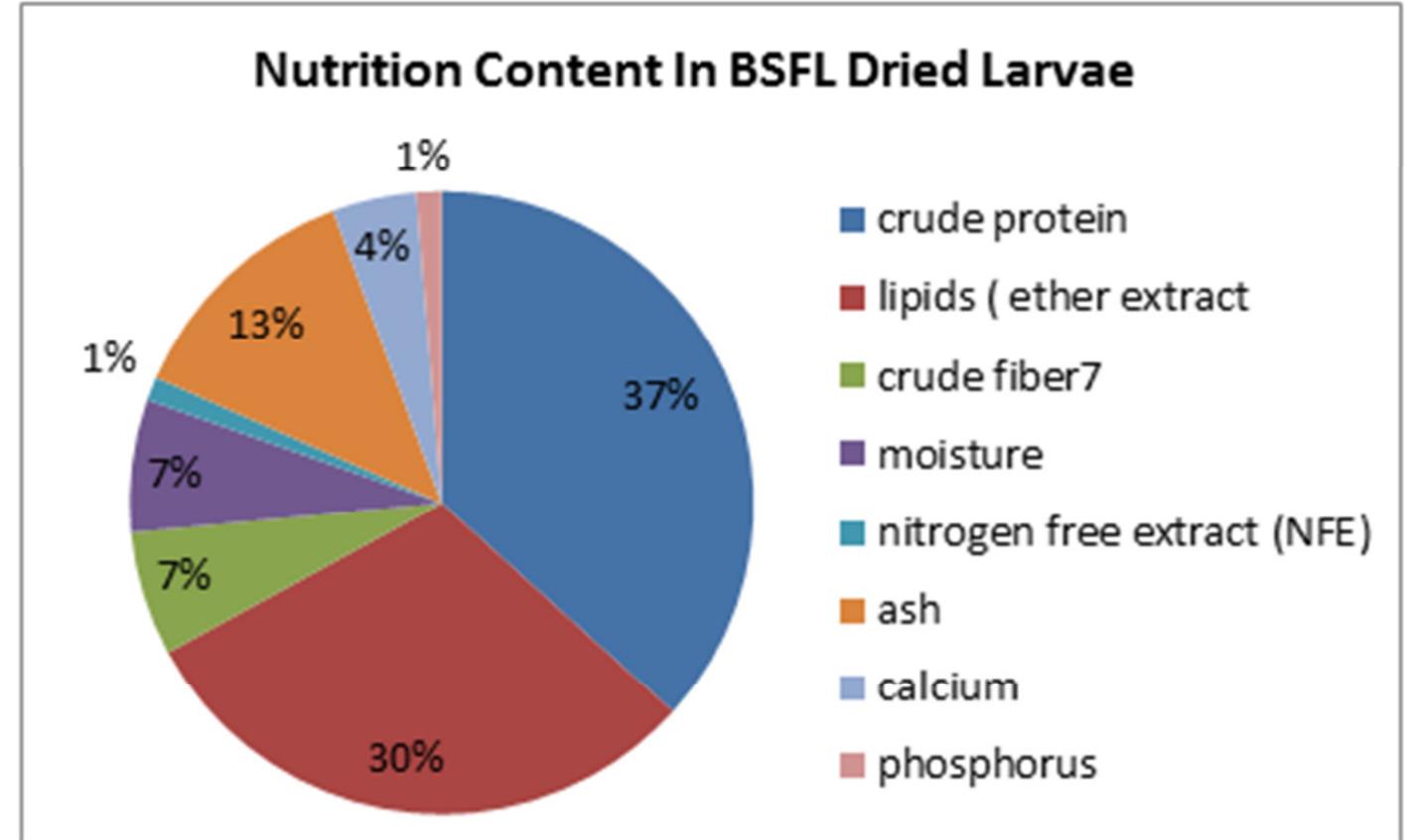 (PDF) Black Soldier Fly/Larvae: A Weapon for Solid Waste Management and ...