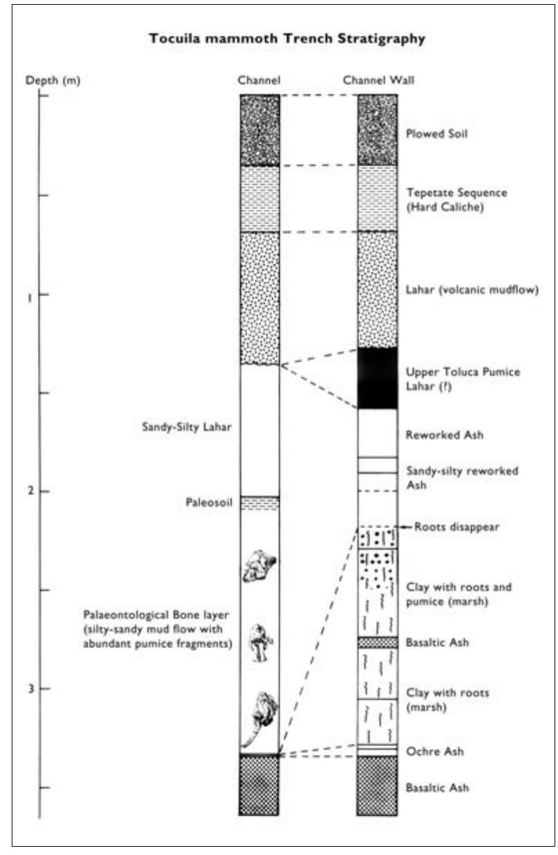 Figure 3 - from The Late Pleistocene paleoenvironment of the