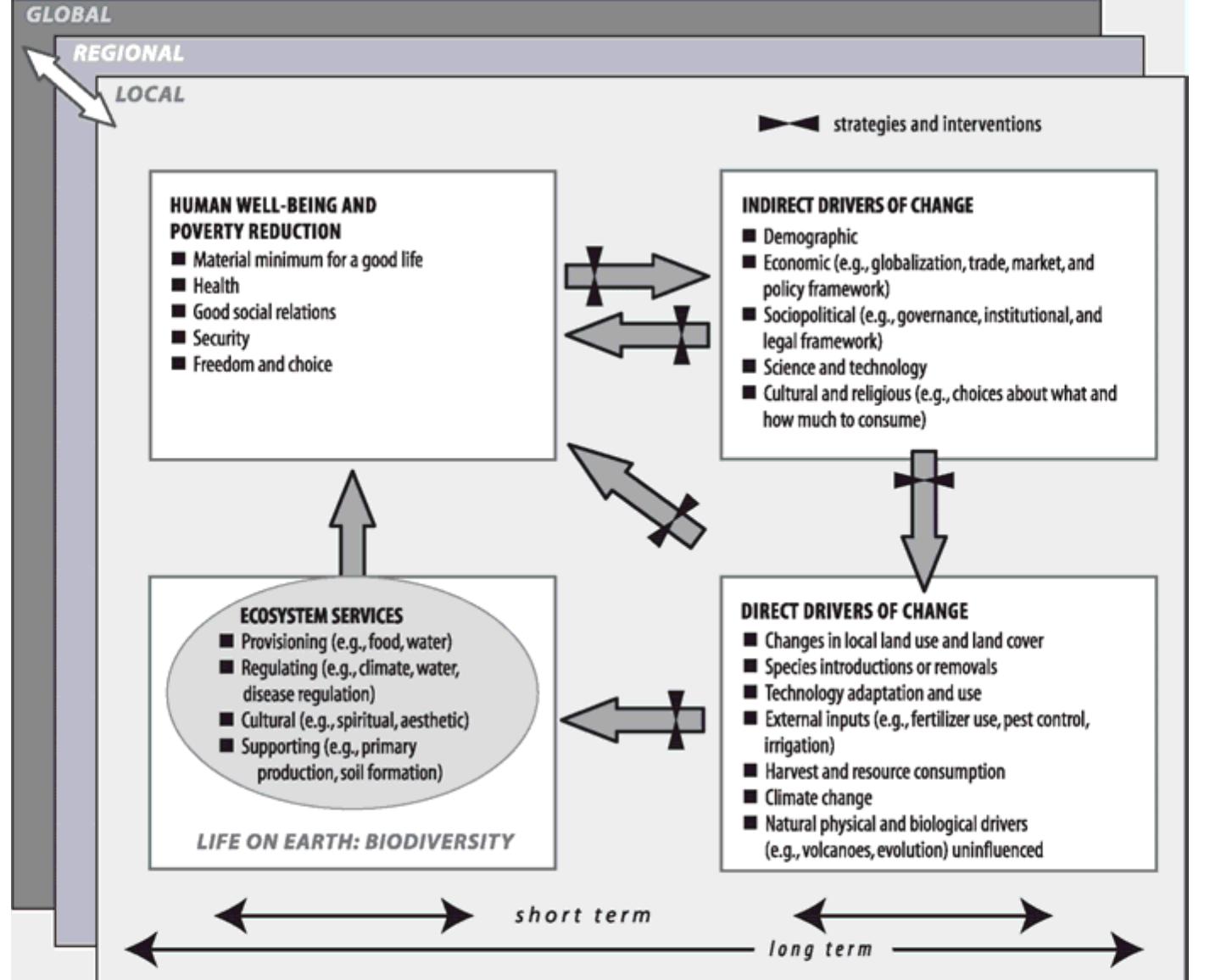Conceptual framework of the millennium ecosystem assessment