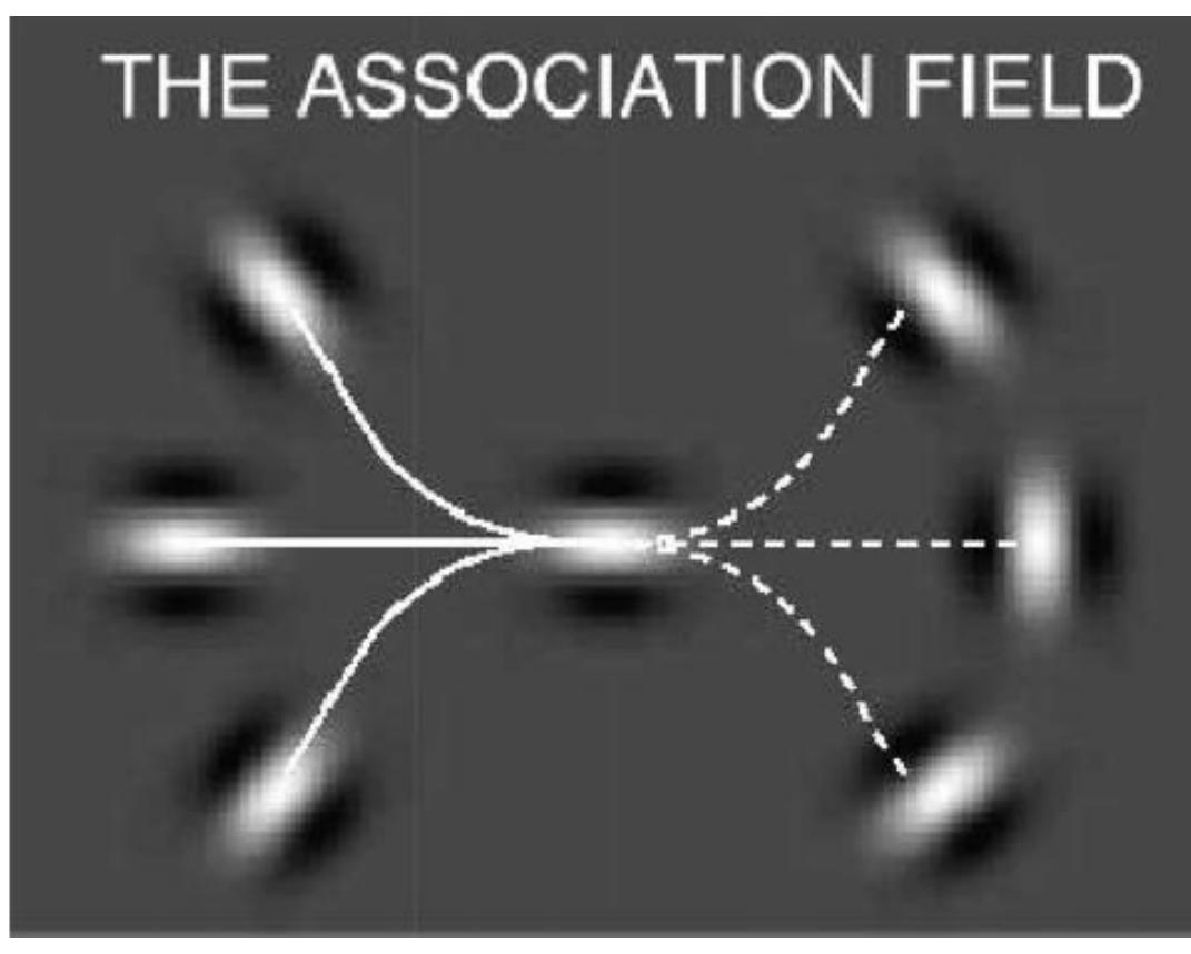 (PDF) Investigating visual integration in autism using contour ...