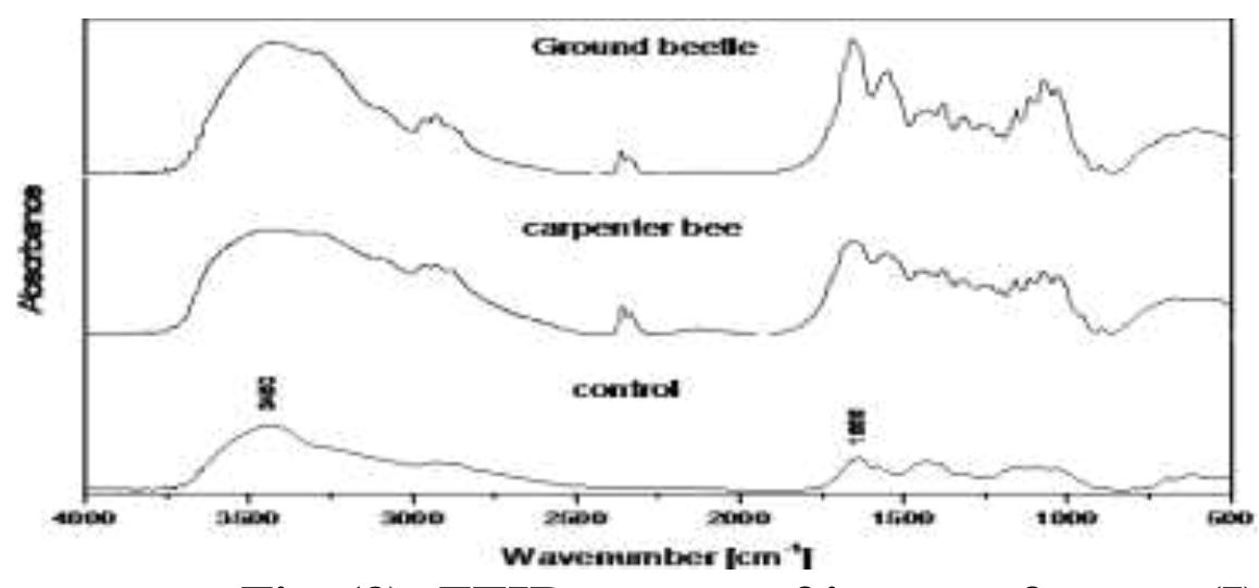 (4): ftir spectra of insect of group (ii) table (4): degree
