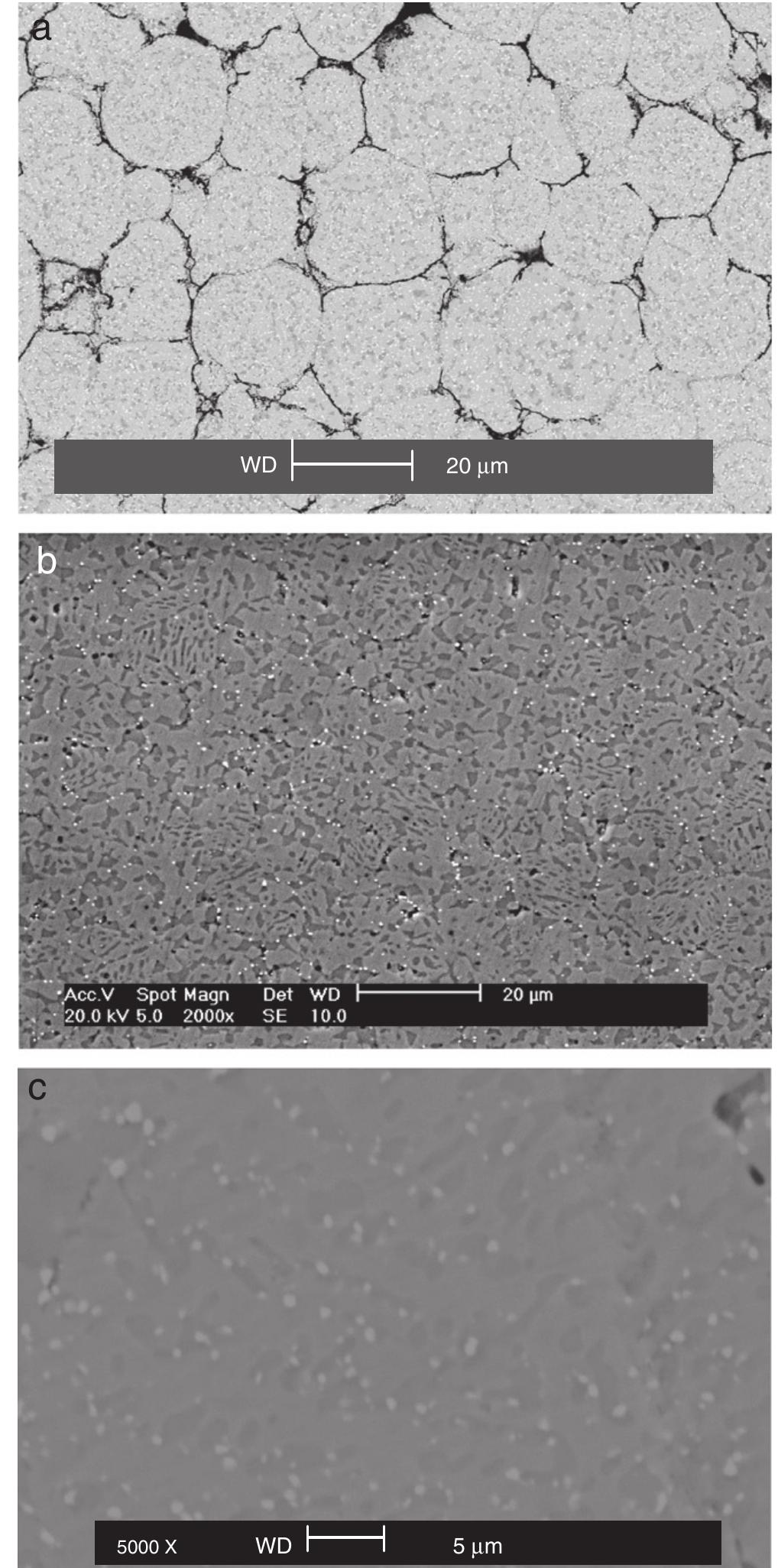 Scanning electron micrograph of sintered sample by hot